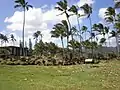 Heiau de Hikinaakalā.
