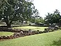 Heiau de Ka Lae O Ka Manu (site des pierres de naissance).