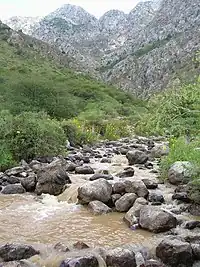 Montagnes en périphérie de Chyimkent