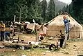 Représentants de la diaspora kazakhe en Chine
