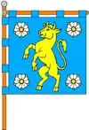 Drapeau de Kelmentsi
