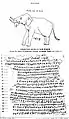 Le motif de l'éléphant, et la suite de l'édit N°13.