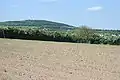 Un champ avec la colline, Hill of Allen, au lointain.