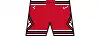 Icon shorts