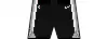Icon shorts
