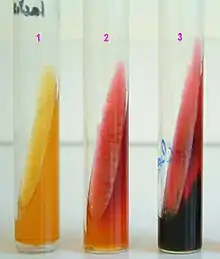 Kligler