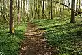 réserve naturelle 'Kloosterbos'
