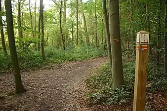 Le GR VA dans le Kloosterbos (Zottegem) (nl)