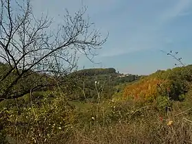 Kočine