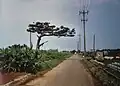 Laroute du sucre