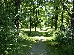 Chemin