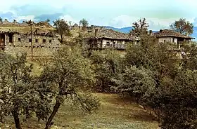 Pustenik