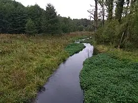 Bychawka Druga