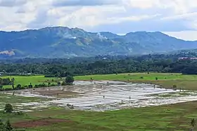Kota Belud