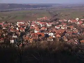 Kovilovo (Negotin)