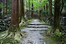 Le sandō de Kōzan-ji (Kyoto).