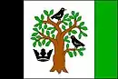 Drapeau de Krasov