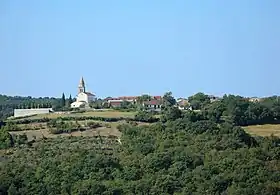 Kringa