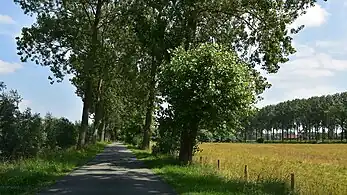Le Krinkeldijk (nl) à Hoeke