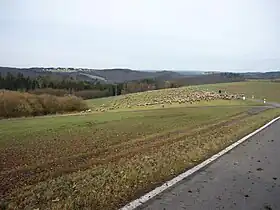 Idelberg