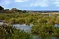 Rivière Sabie, Skukuza