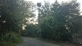 Krzeczanowo