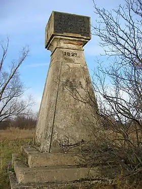 Patoki (Łowicz)