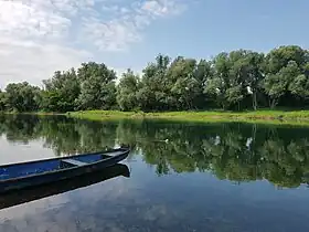 Šišinec