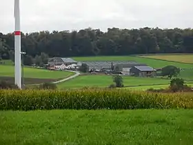Kwintenhof