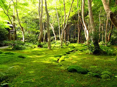 Jardin de mousses du Saihō-ji, XVIe siècle