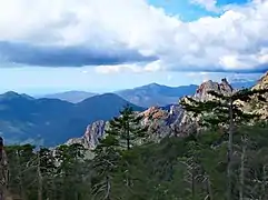 La vallée du fiume Grossu depuis le lac.