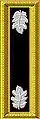 Lieutenant colonel staff officer