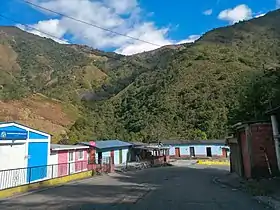 Bucarasica