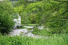 La Haute-Sûre au moulin de Bigonville.