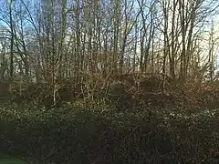 La motte féodale