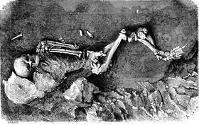 Image tirée de L’Homme fossile de Felix Garrigou.