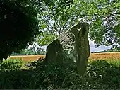 Pierre de Zeupire