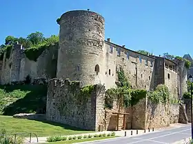 Château des Quat'Sos (mai 2009).