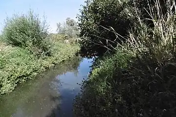 La Tortue à Santes