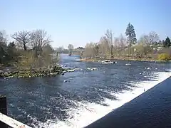 La Vienne à Chabanais.