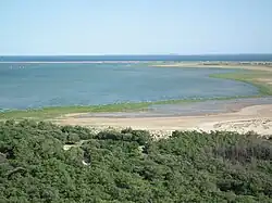 La baie vue depuis le phare de la Coubre.