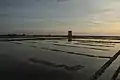 Marais salants.