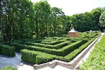 Labyrinthe de buis.