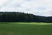 commune de Lac-des-Rouges-Truites, jeu d'ombres et de lumière sur la forêt du Mont-Noir.