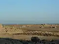 Partie asséchée du Lac Abbe en 2005.