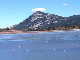 Image illustrative de l’article Lac des Arcs