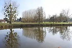 Le plan d'eau.