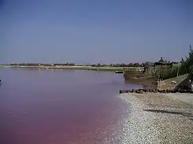 Le lac Rose.