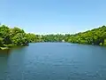 Photo prise du pont entre Pléven (rive gauche) et Plorec-sur-Arguenon (rive droite). Au loin on aperçoit l'ancien manoir du Rocher en Pléven avec son colombier.