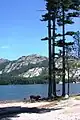 Berges du lac.